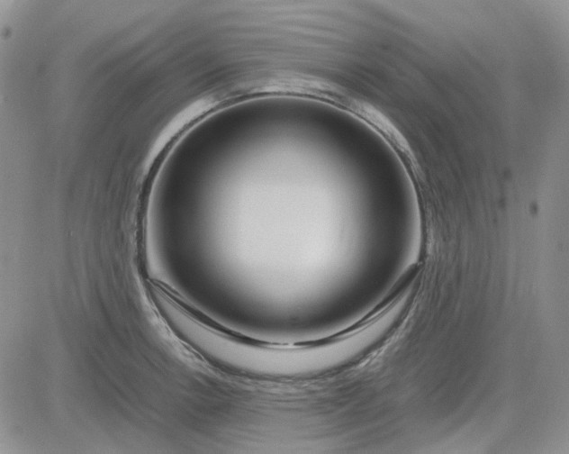X0000083661138200702261135