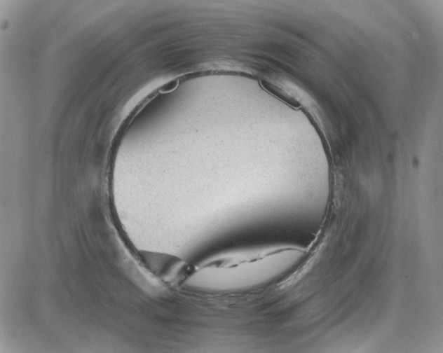 X0000083661141200702261135