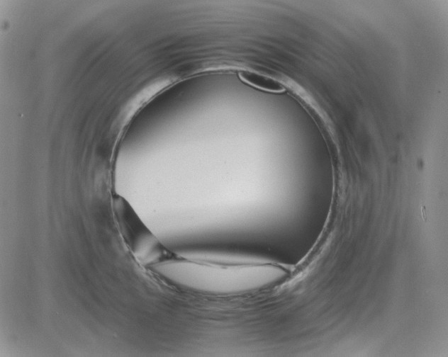 X0000083661145200702261135