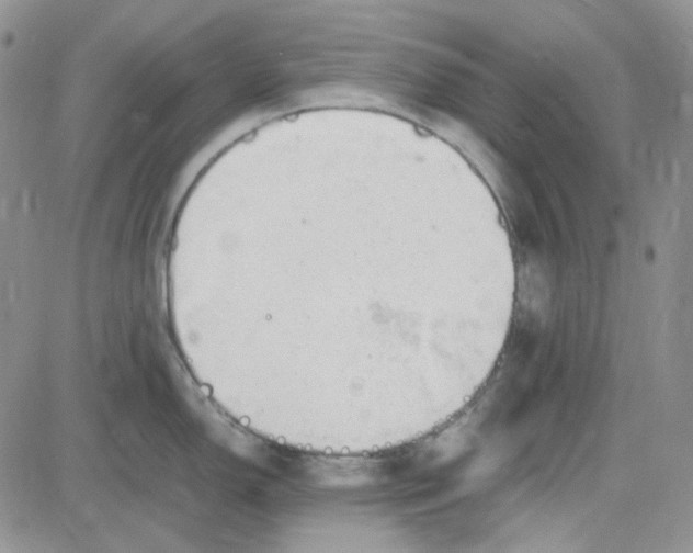 X0000083661150200702261135