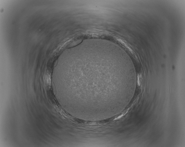 X0000083661155200702261134