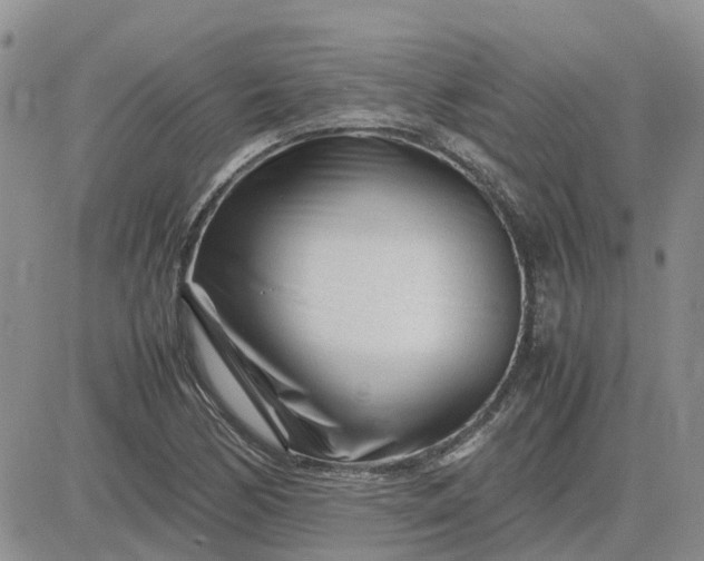 X0000083661170200702261134