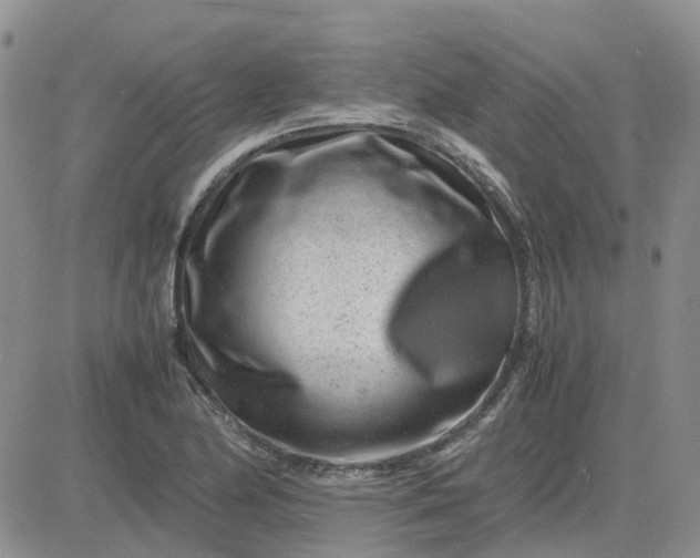 X0000083661174200702261134