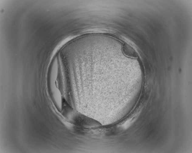X0000083661179200702261134