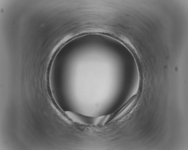 X0000083661181200702261134