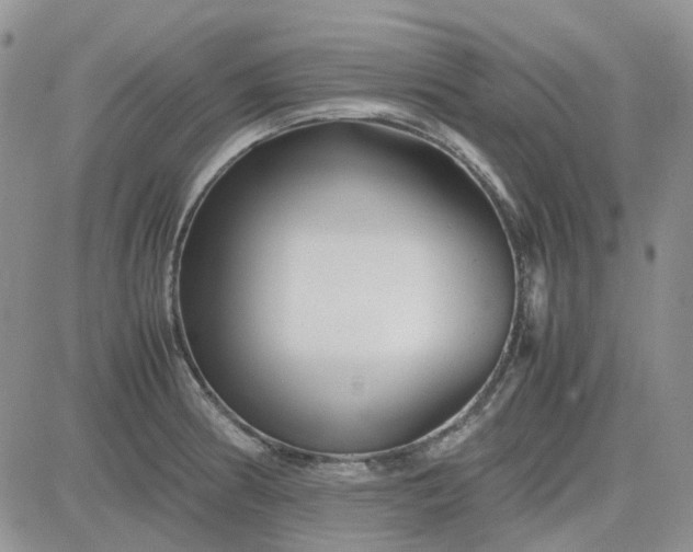 X0000083661186200702261134