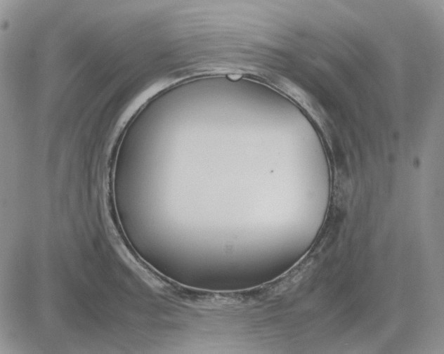 X0000083661187200702261134
