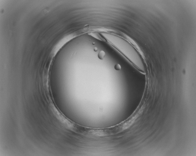 X0000083661194200702261134