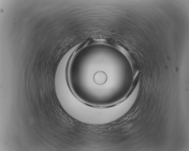 X0000083661202200702261133