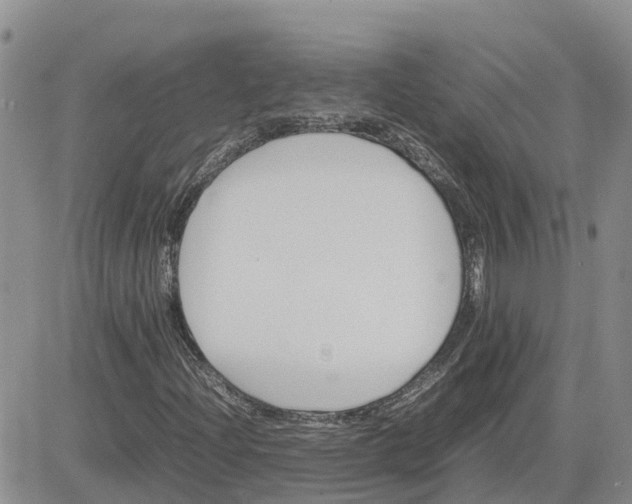 X0000083661204200702261133