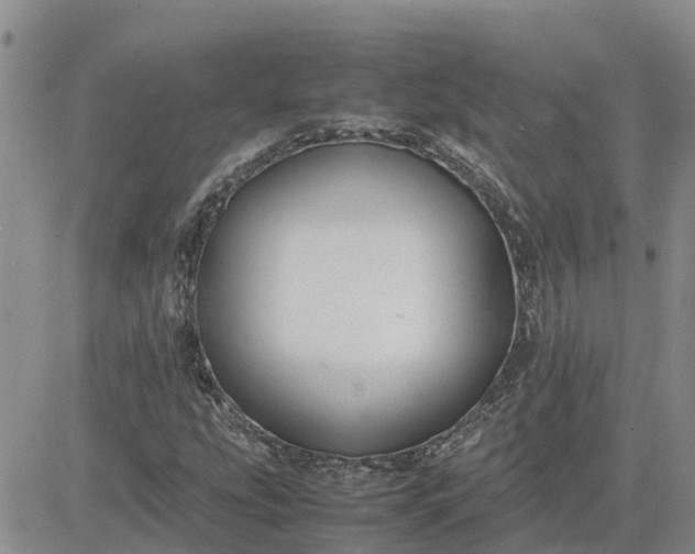 X0000083661207200702261133