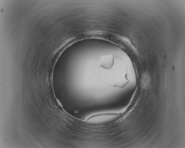 X0000083661209200702261133