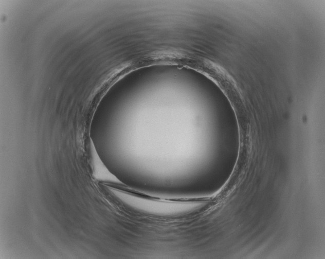 X0000083661217200702261133