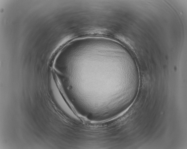 X0000083661219200702261133