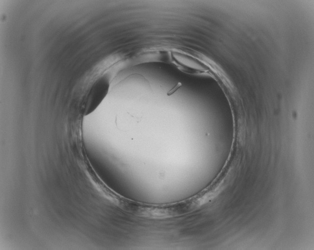 X0000083661241200702261133