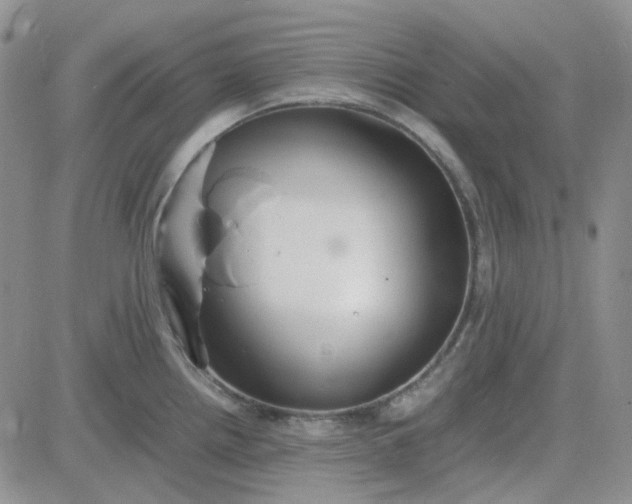 X0000083661242200702261133
