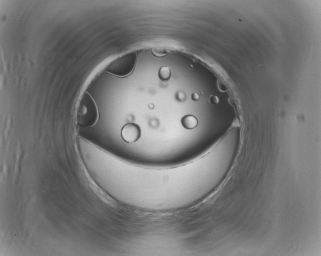 X0000083661248200702261133