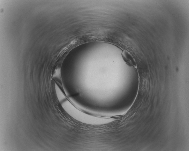 X0000083661250200702261133
