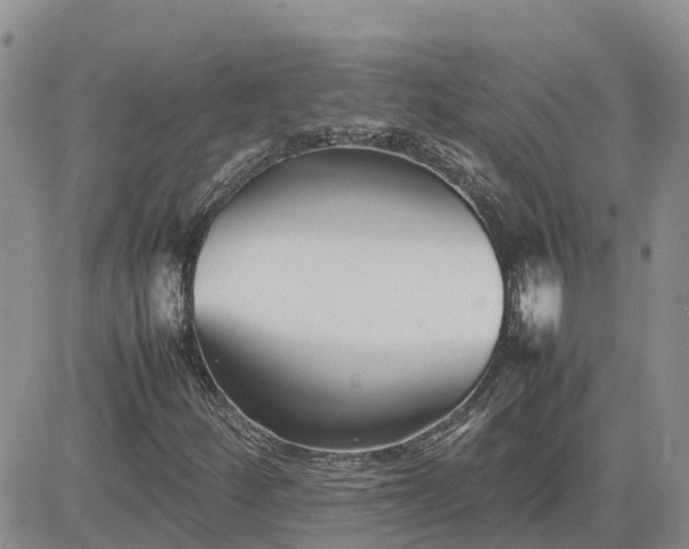 X0000083661252200702261133