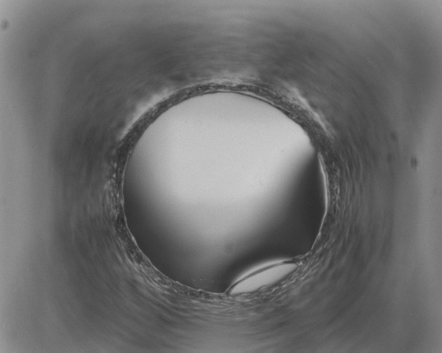 X0000083661256200702261133