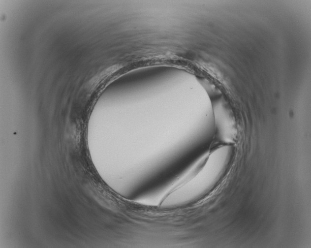 X0000083661257200702261133