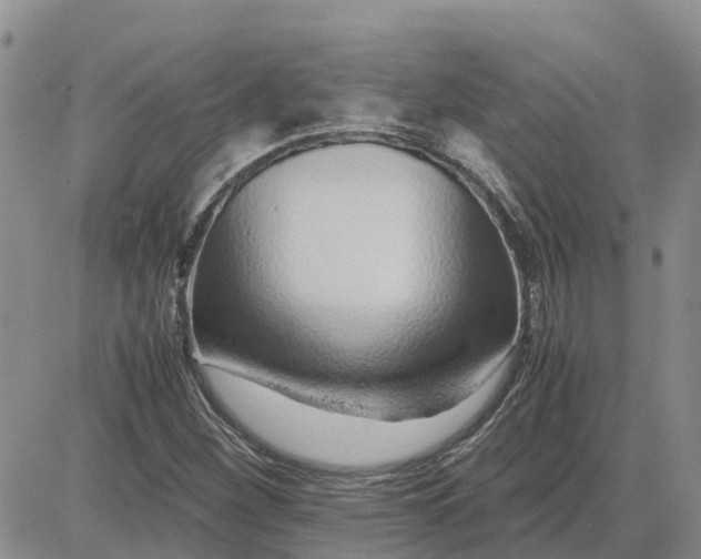 X0000083661260200702261132
