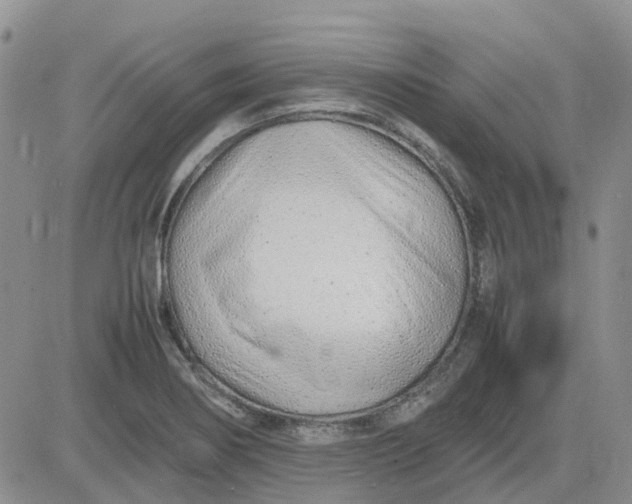 X0000083661274200702261132