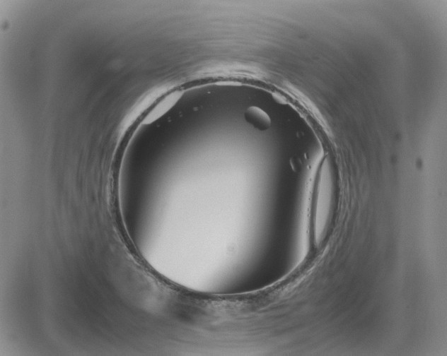 X0000083661277200702261132