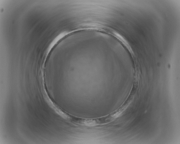 X0000083661291200702261132