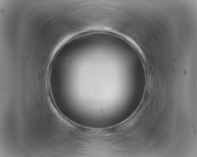 X0000083661295200702261132