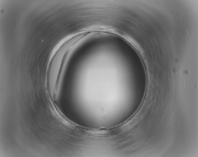 X0000083661296200702261132
