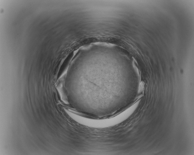 X0000083661298200702261131