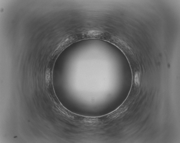 X0000083661299200702261131