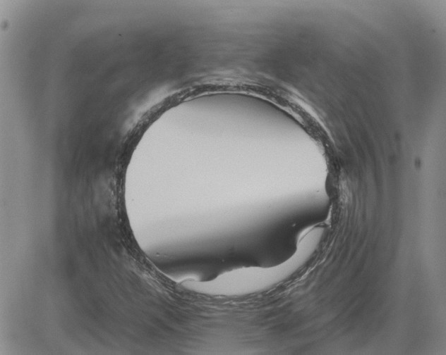 X0000083661304200702261131