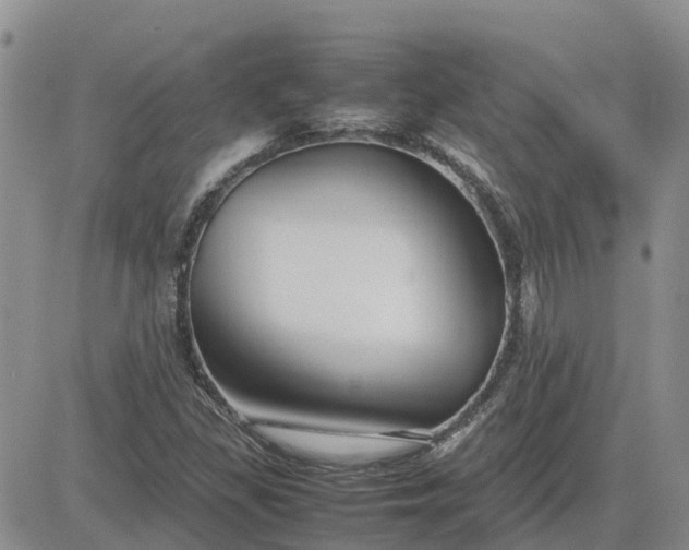 X0000083661309200702261131