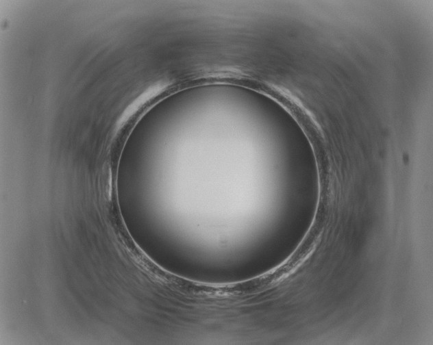 X0000083661317200702261131