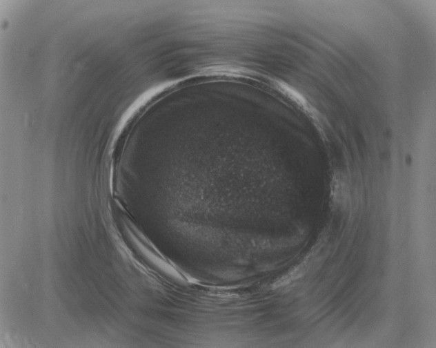 X0000083661323200702261132