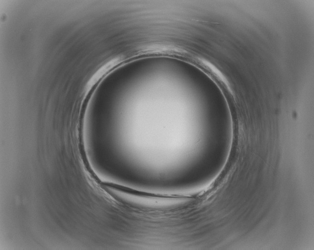 X0000083661330200702261132