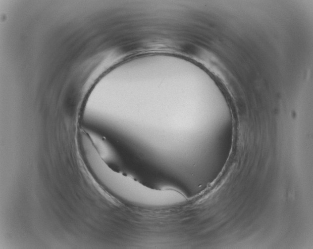 X0000083661333200702261132