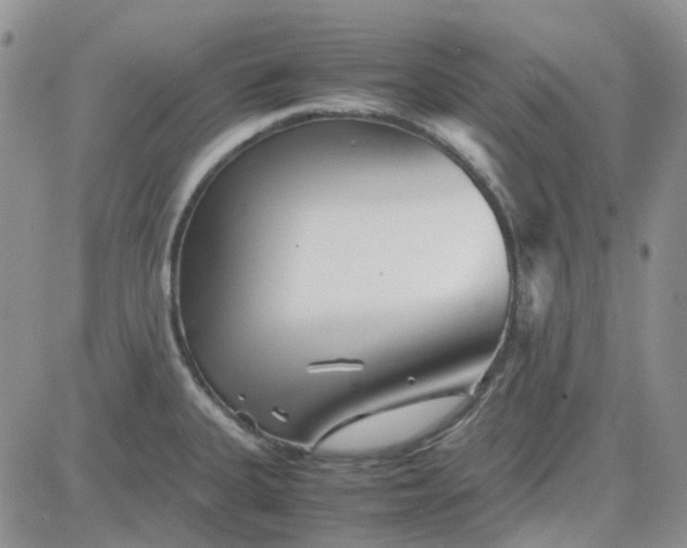 X0000083661335200702261132