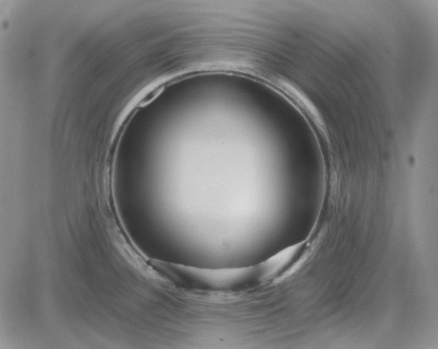 X0000083661340200702261132