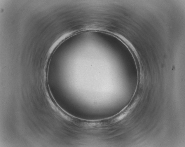 X0000083661341200702261132