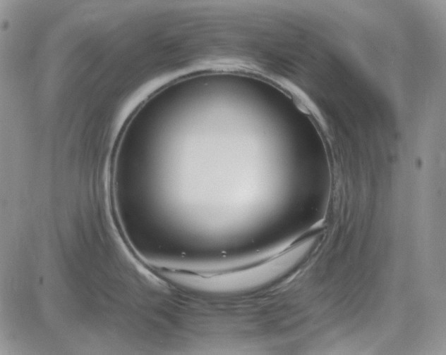 X0000083661343200702261132