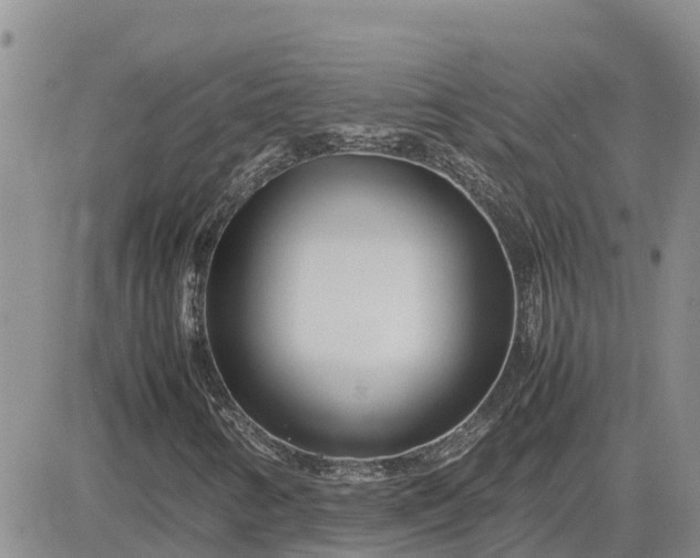 X0000083661346200702261131