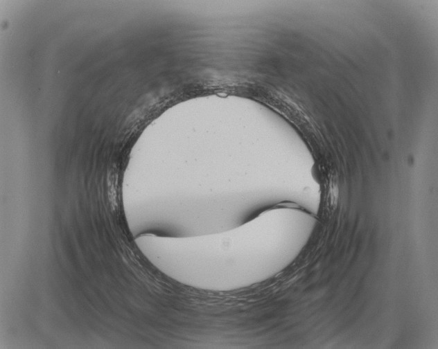 X0000083661348200702261131
