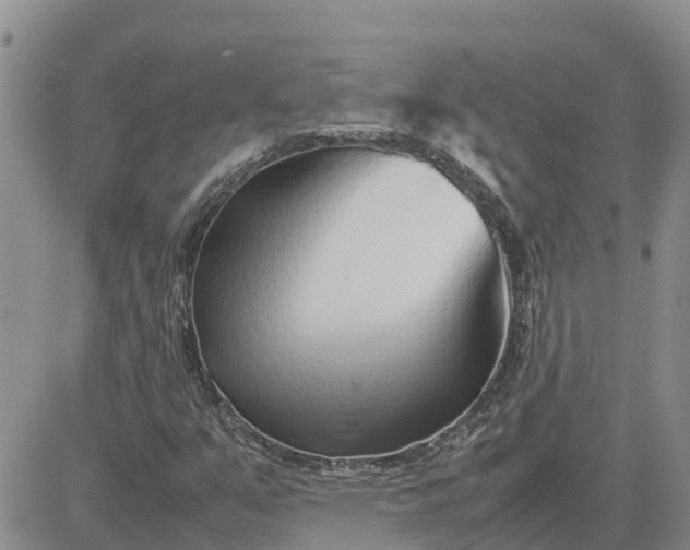 X0000083661351200702261131