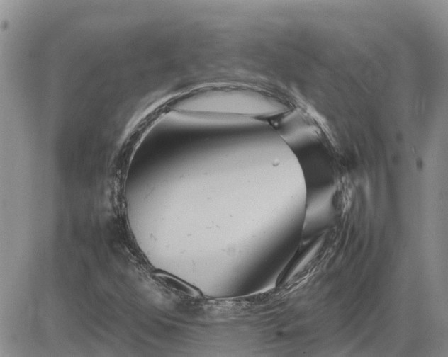 X0000083661352200702261131