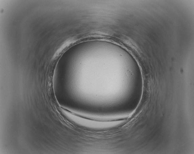 X0000083661355200702261131