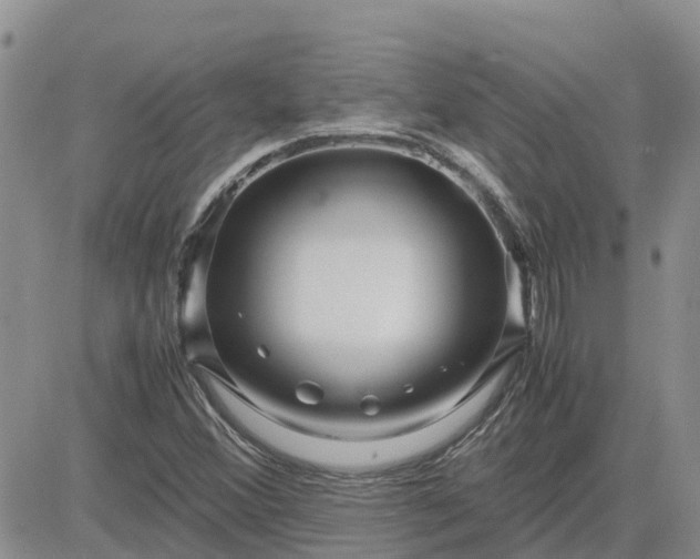 X0000083661356200702261131