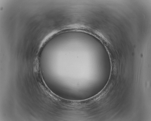 X0000083661358200702261131